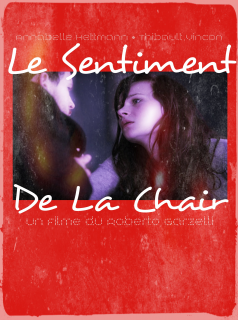 Le Sentiment de la chair streaming