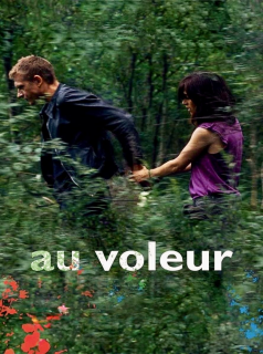 Au voleur streaming