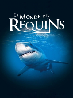 Le Monde des requins streaming