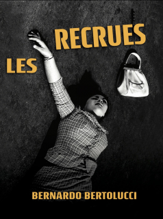 Les Recrues streaming