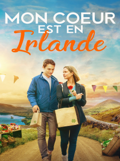 L'hôtel des coups de foudre streaming