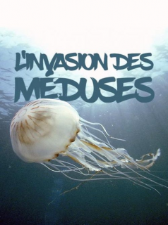 L'invasion des méduses – Une prolifération inquiétante streaming