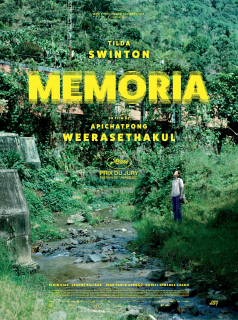 Memoria streaming