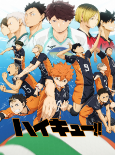 série Haikyu!! Saison 1 en streaming voir Haikyu!! Saison 1 en streaming