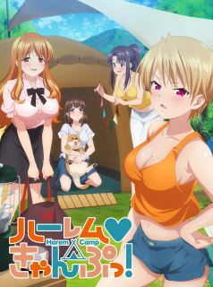 voir serie Harem au camping ! en streaming