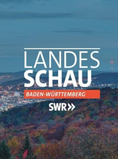 voir Landesschau Baden-Württemberg Saison 8 en streaming 