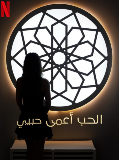 série Love Is Blind, Habibi Saison 1 en streaming voir Love Is Blind, Habibi Saison 1 en streaming