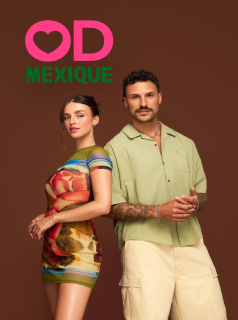 voir serie Occupation Double en streaming
