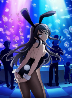 série Rascal Does Not Dream of Bunny Girl Senpai Saison 1 en streaming voir Rascal Does Not Dream of Bunny Girl Senpai Saison 1 en streaming