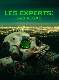 série Les Experts : Las Vegas Saison 2 en streaming voir Les Experts : Las Vegas Saison 2 en streaming