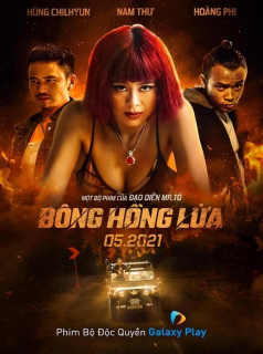voir Bông Hồng Lửa Saison 1 en streaming 