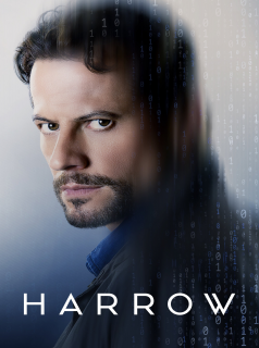 voir Dr Harrow Saison 1 en streaming 