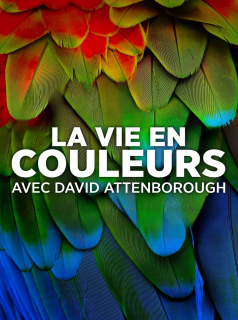 série La Vie en couleurs avec David Attenborough Saison 1 en streaming voir La Vie en couleurs avec David Attenborough Saison 1 en streaming