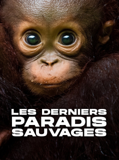 voir serie Les Derniers Paradis sauvages en streaming