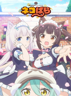 série Nekopara Saison 1 en streaming voir Nekopara Saison 1 en streaming