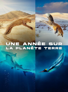 voir serie Une année sur la planète Terre en streaming