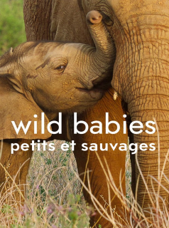 Wild Babies : Petits et Sauvages