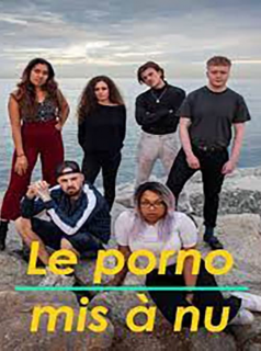 voir serie Le Porno mis à nu en streaming