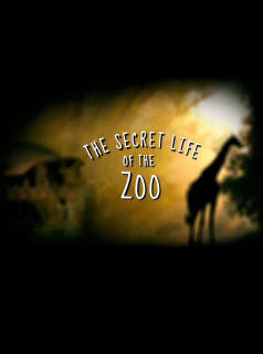voir The Secret Life of the Zoo Saison 7 en streaming 