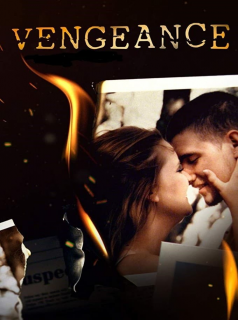 voir Vengeance Saison 4 en streaming 