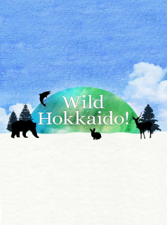 voir serie Wild Hokkaido! en streaming